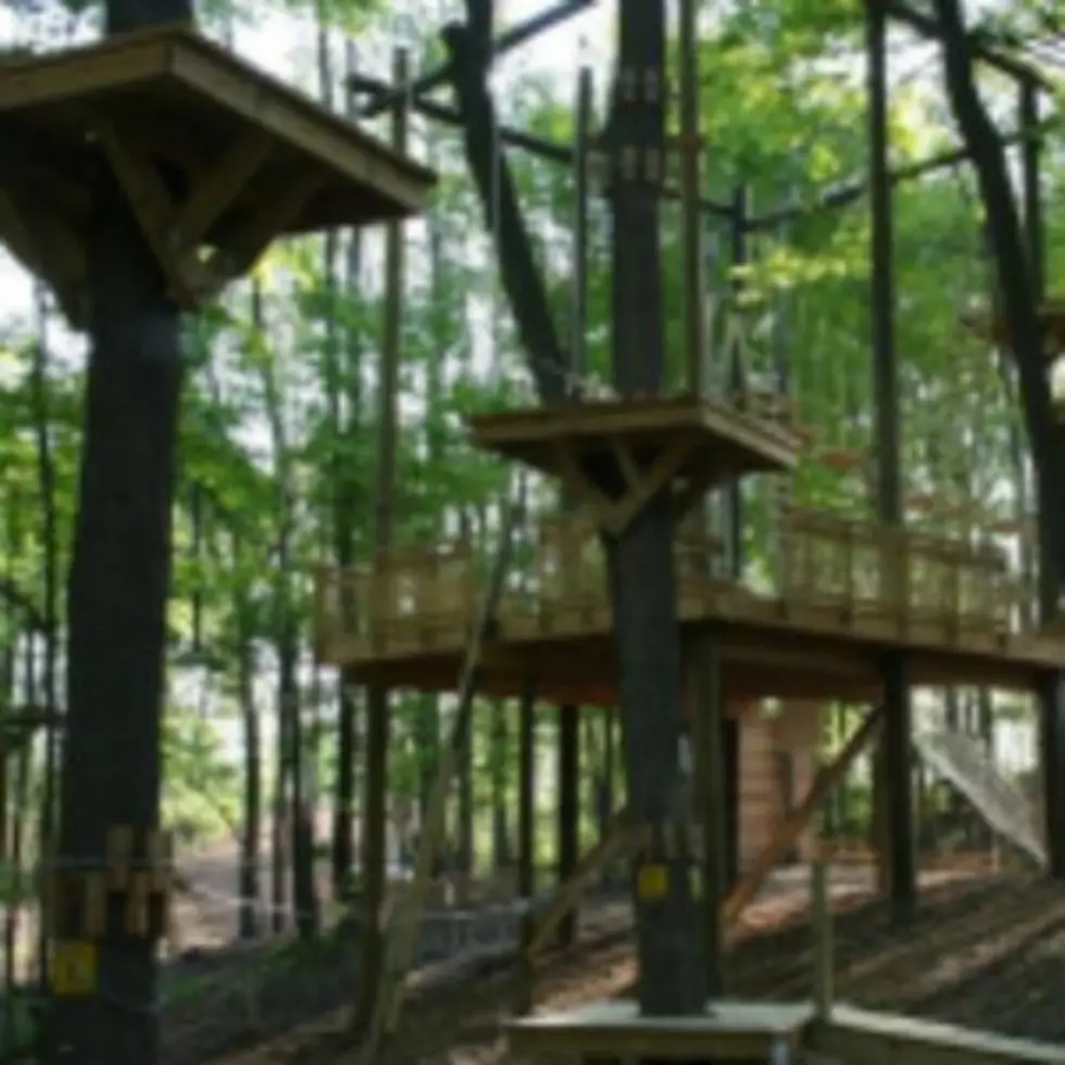 Tree Top Zipline Adventure Park is Open in Grand Rapids