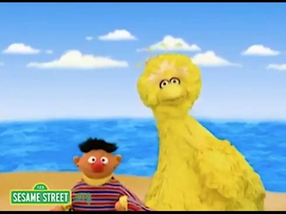 Big Bird and Friends do Summertime [Video]