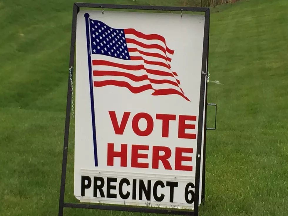 West Michigan Election Results: August 2, 2016