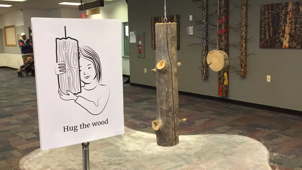 'Hug the Wood' to Listen to Finnish Forests at ArtPrize