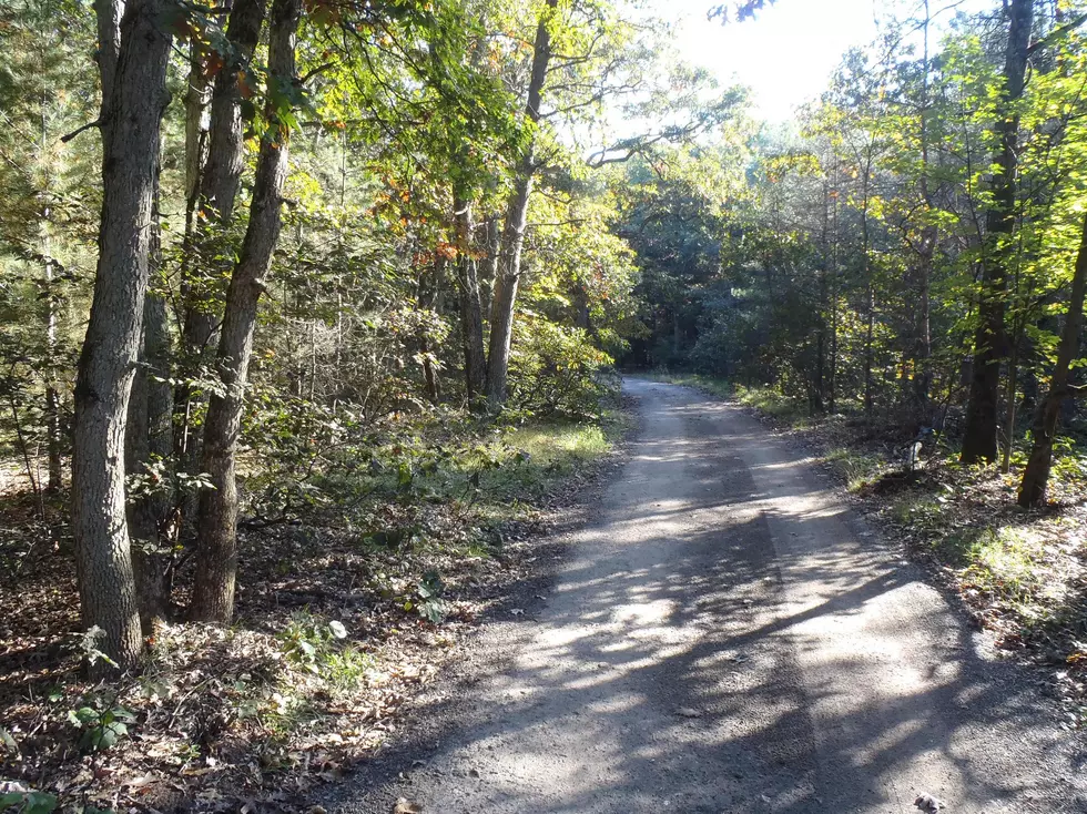 Michigan DNR Auctioning Land in Lower Michigan and the Upper Peninsula