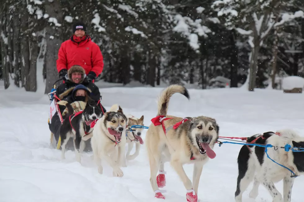 Tahquamenon Falls State Park Offering Dog Sled Rides and More This Winter