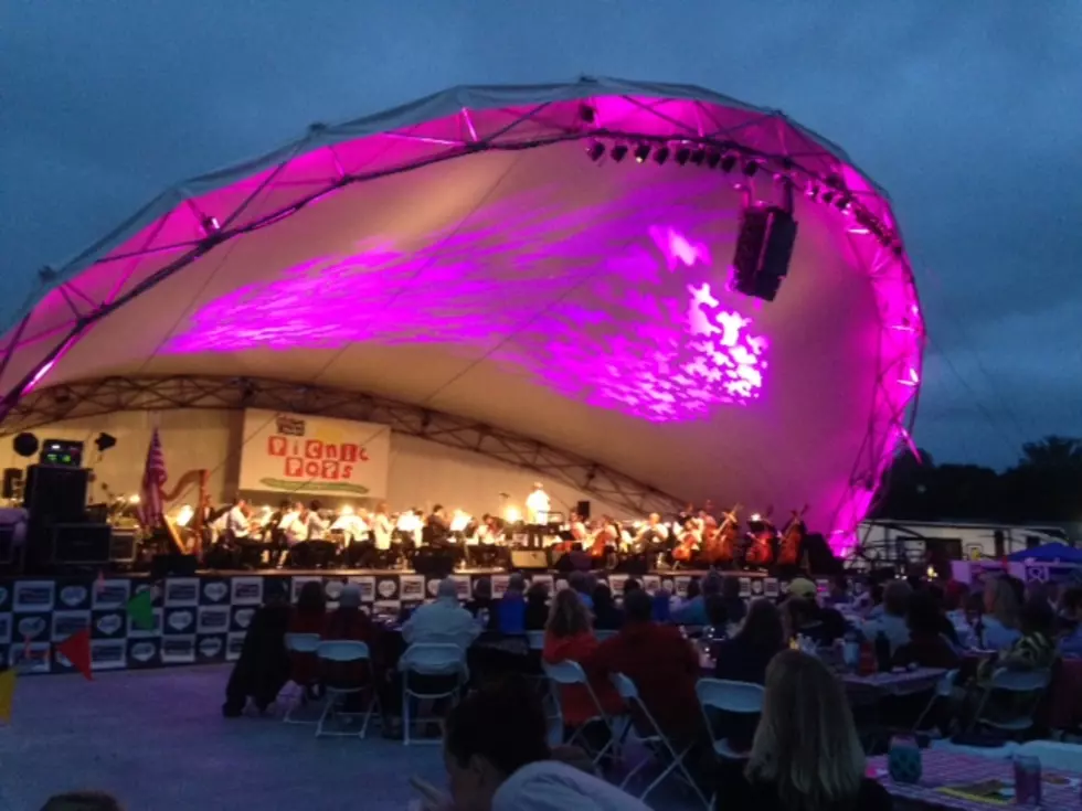 Grand Rapids Symphony Picnic Pops has Exciting Lineup This Summer
