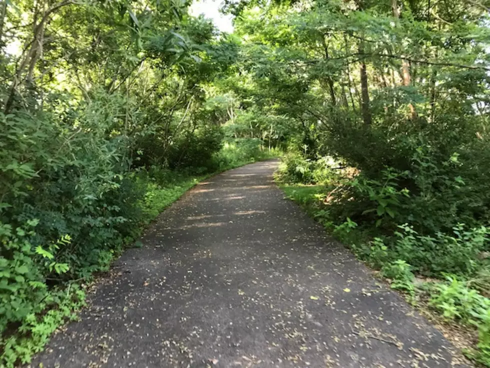 Lakeshore Bike Ride/Shopping Trip Includes Delivery of Items to Your Car