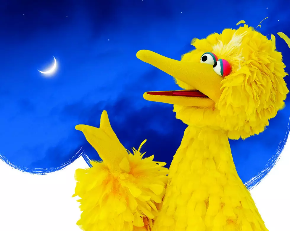 Big Bird and Elmo Coming to Public Museum Chaffee Planetarium