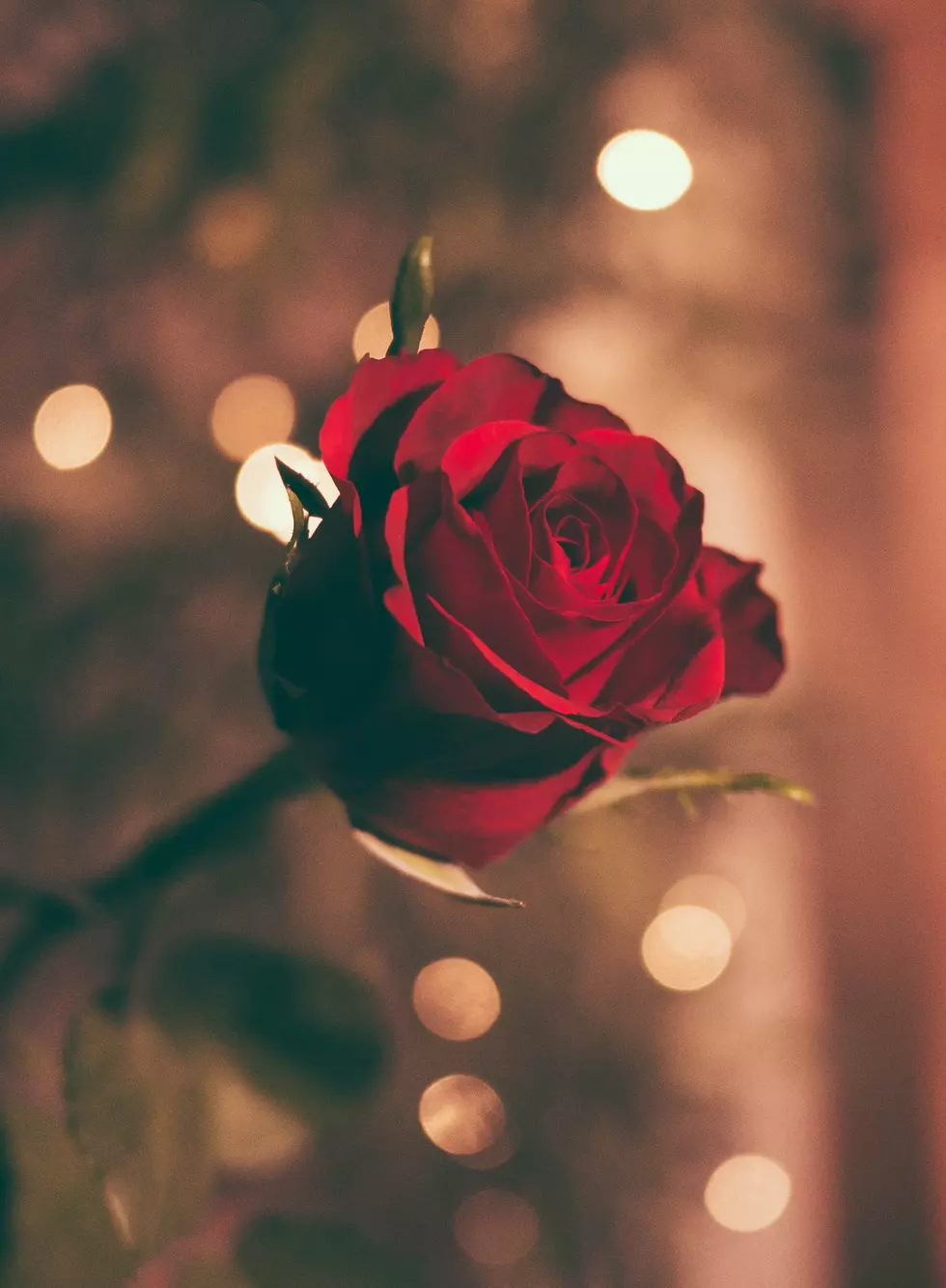 Photo by Jamie Street on Unsplash