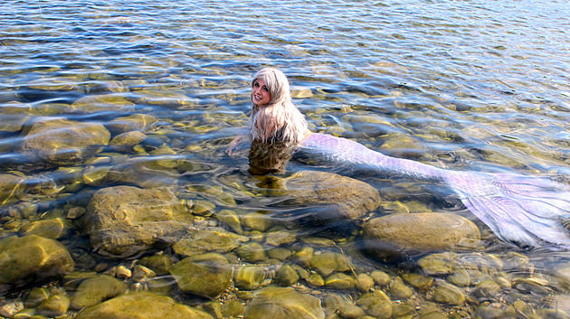 Live Mermaid Returns to Public Museum