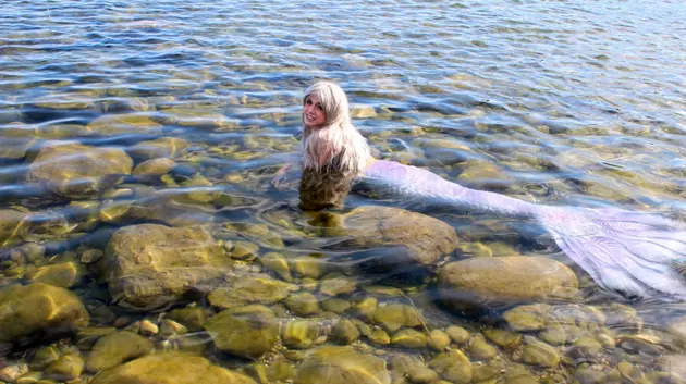 Live Mermaid Returns to Public Museum