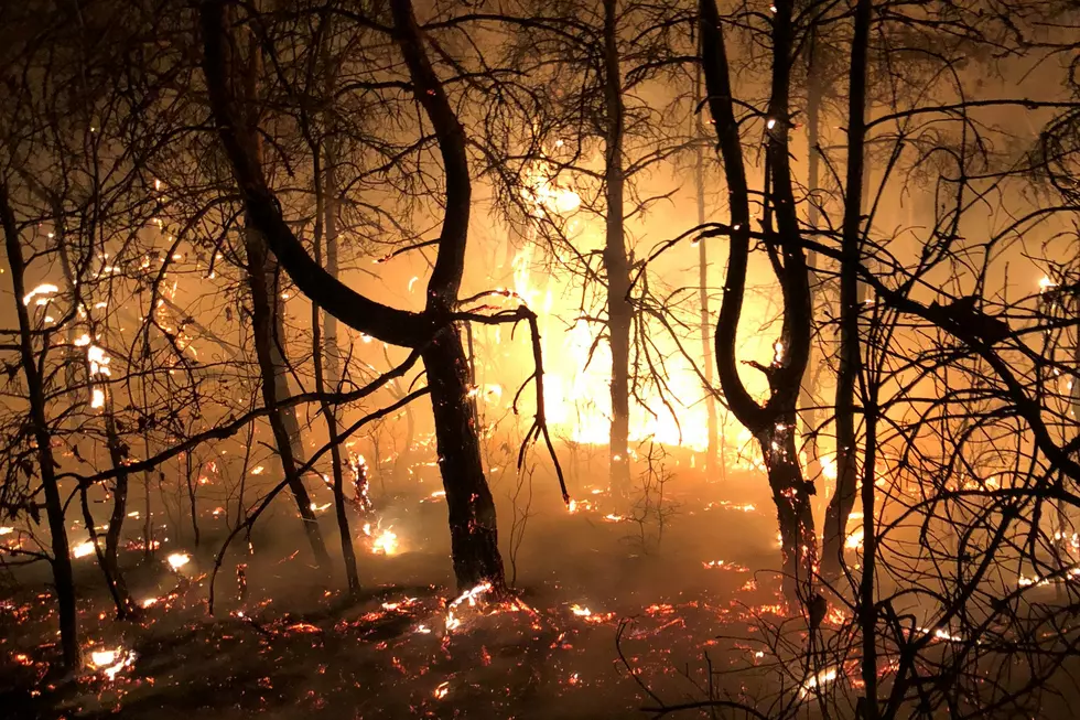 Stunning Photos of Newaygo County Wildfire