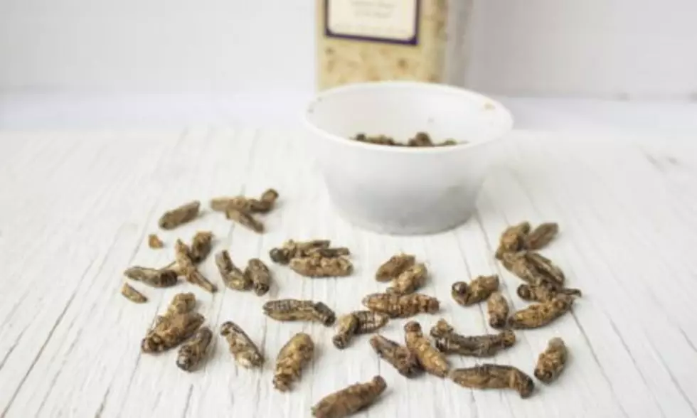 Looking To Improve Your Health? Chow Down on Some Crickets!