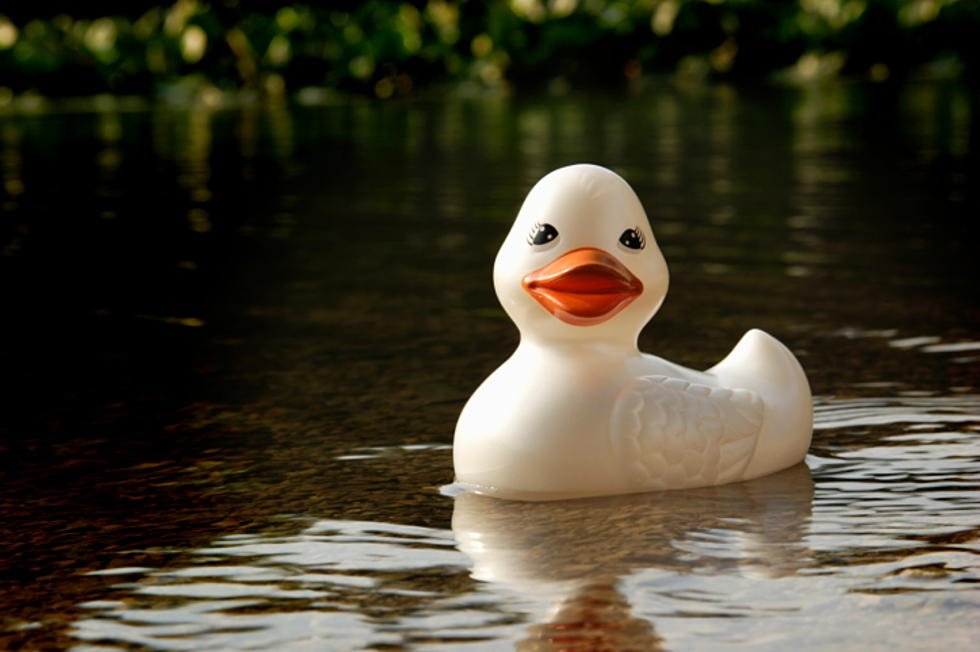 2,500 Rubber Ducks to Race Down Michigan River for $500