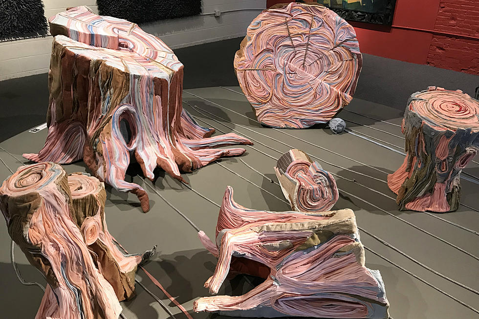 A Closer Look Completely Changes ‘Nature Made Flesh’ at ArtPrize