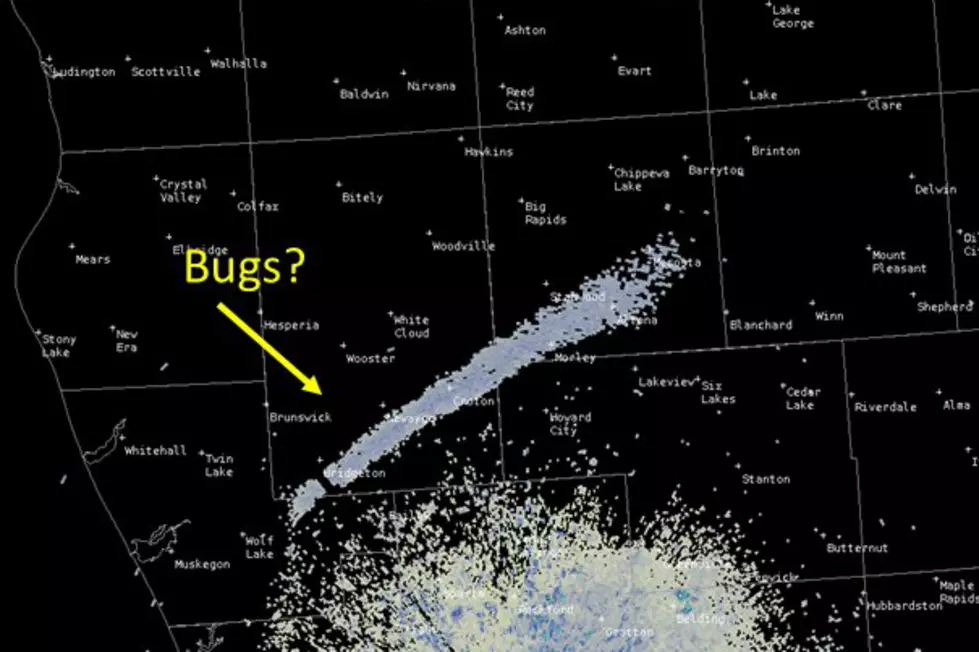 West Michigan Bugs so Thick They are Showing up on Radar