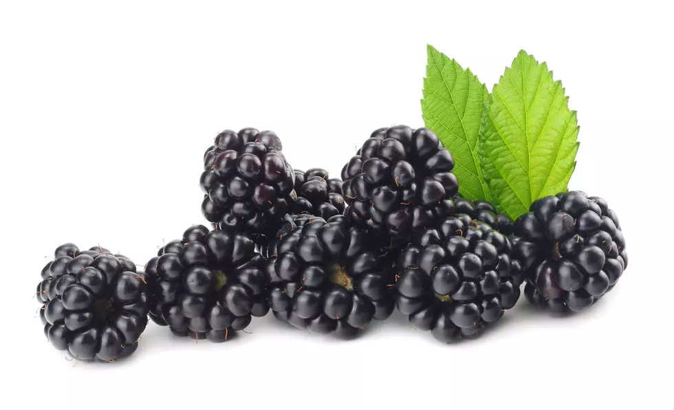 FDA Warns of Blackberries Contaminated With Hepatitis A