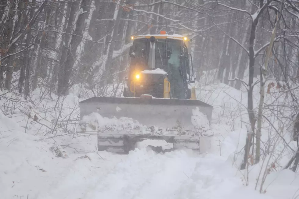 Snow Downs ‘Astonishing’ Number of Trees on Trails in the U.P.