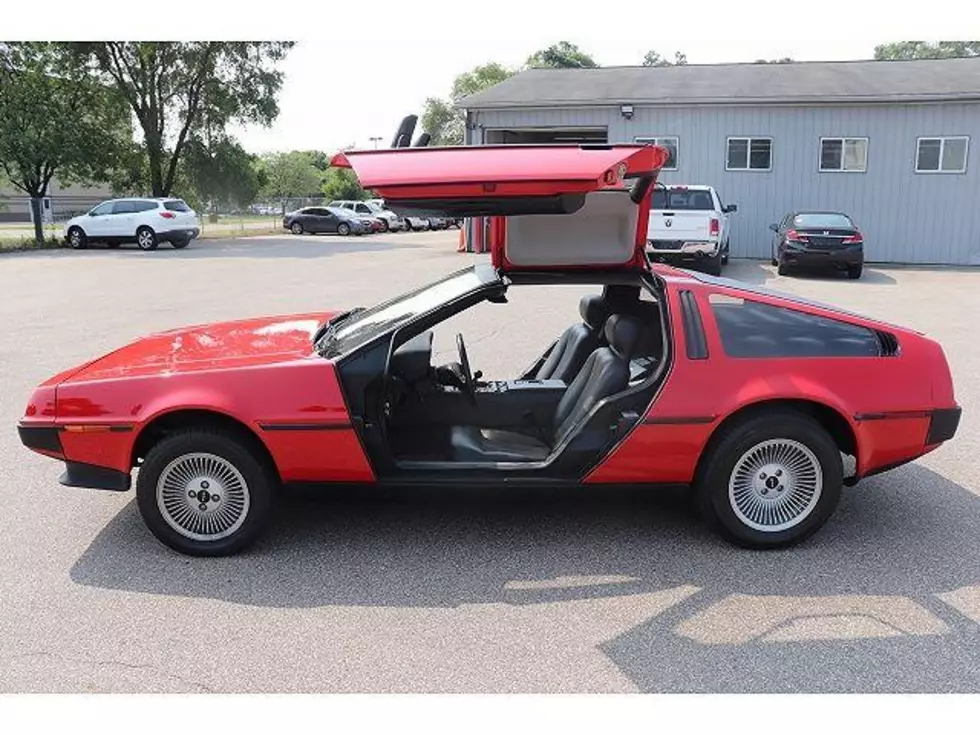 DeLorean For Sale in West Michigan [Photos]