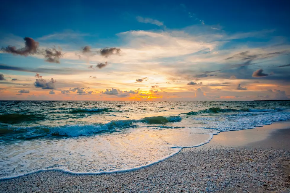 Sun, Seafoam, Shells