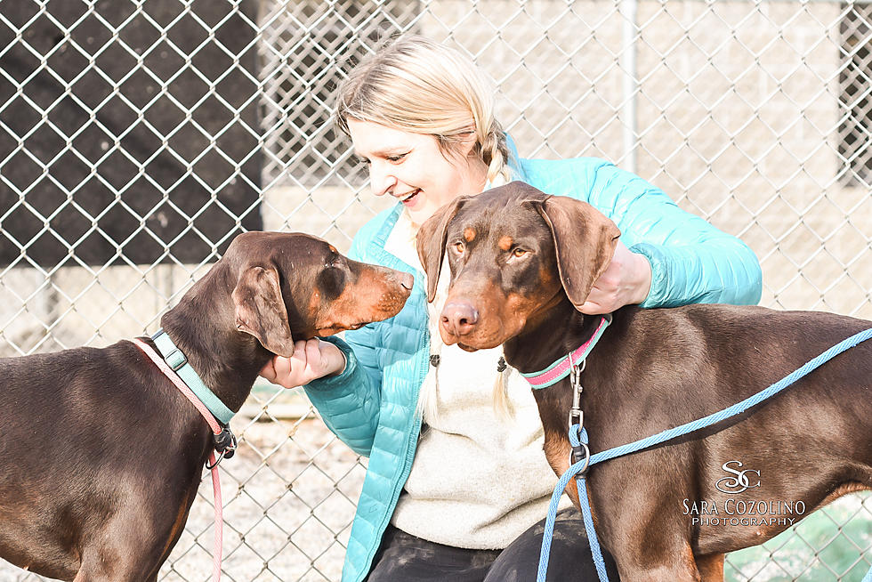 Angel and Antonio Are Our Pets of the Week on Wet Nose Wednesday