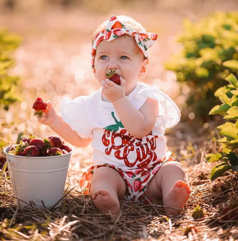 Do You Want Fresh Picked Strawberries? You'd Better Hurry!