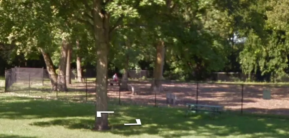 Grand Rapids Has a Great Newly Renovated Dog Park for You and Your Dog