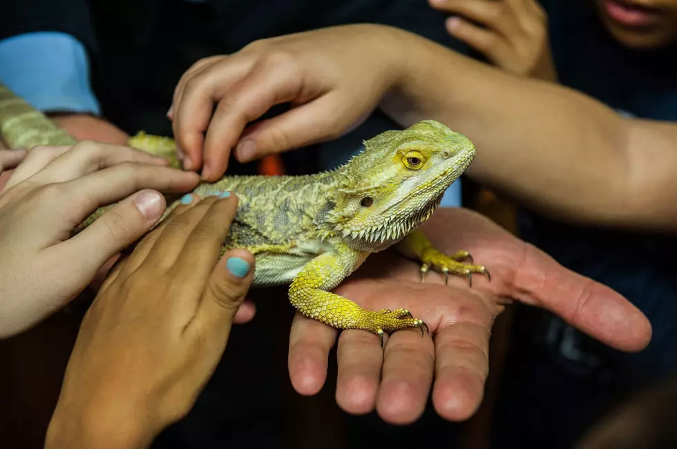 Rome Bioparco Launch "Getting In Touch With Nature" Educational Area