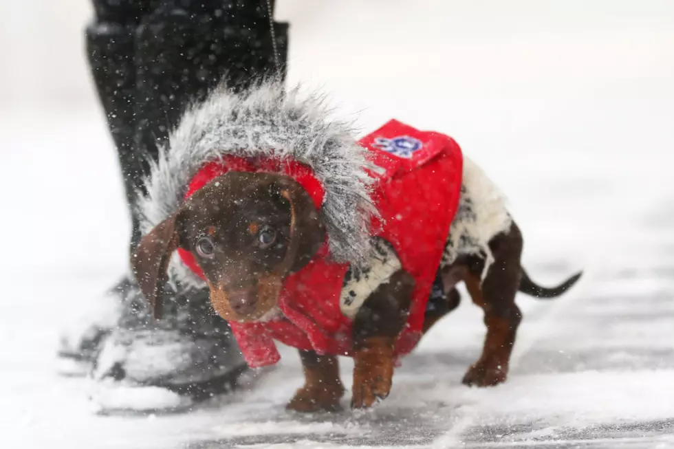 Massive Winter Storm Brings Snow And Heavy Winds Across Large Swath Of Eastern Seaboard