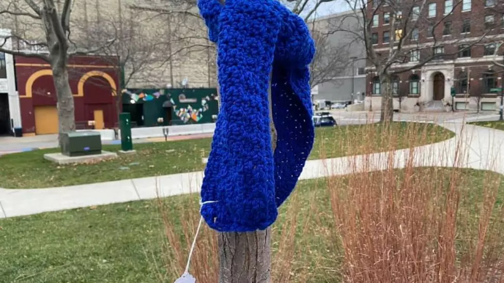 What’s With All the Scarves on Poles and Trees in Downtown Grand Rapids?