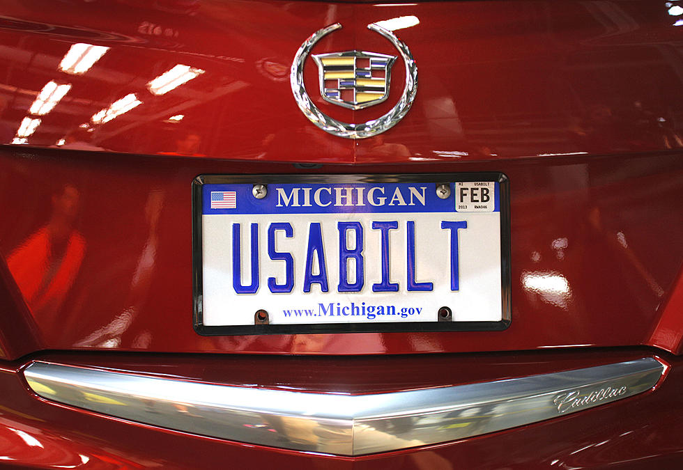Michigan, Your License Plates Are Boring &#8211; State Offers Among the Fewest Choices in America