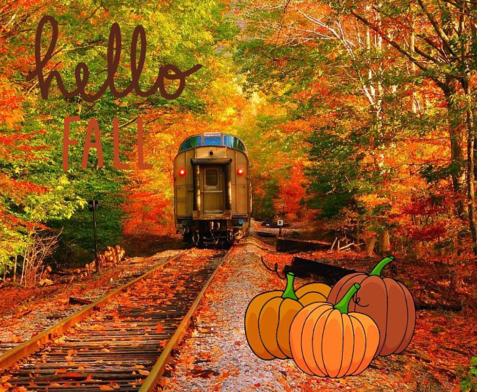 Take a Train to See Fall Colors? You Can in Coopersville this Fall!