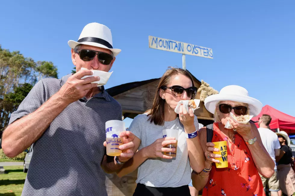 Hokitika Wildfoods Festival