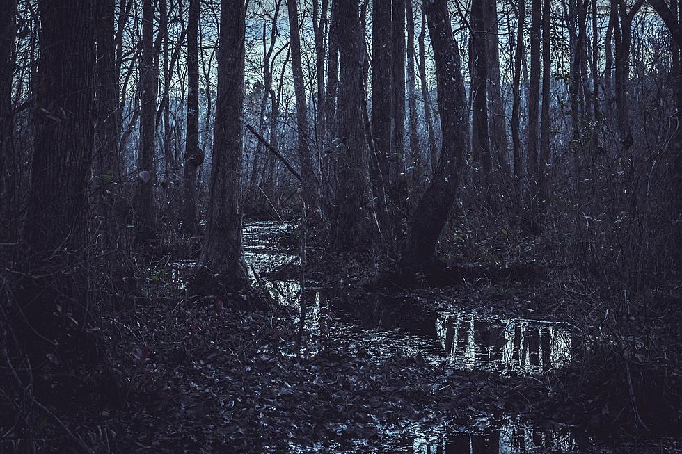 The Gogomain Wilderness is Michigan’s ‘Swamp of No Return’