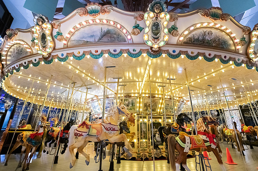 No Rides on the Public Museum Carousel After Next Tuesday!