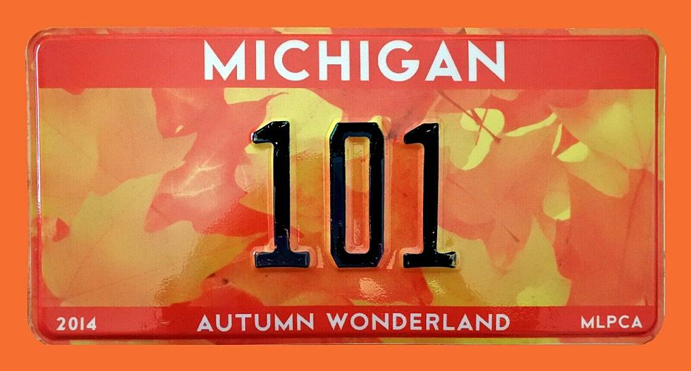 These Autumn Wonderland Michigan License Plates Aren’t Real – They Should Be