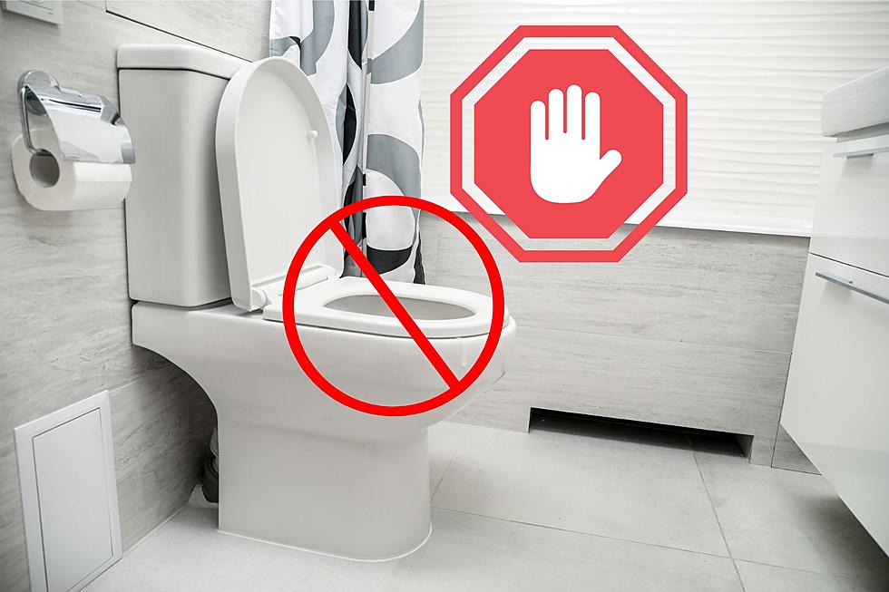 Michigan Residents Warned &#8211; Never Flush These Things Down Your Toilet