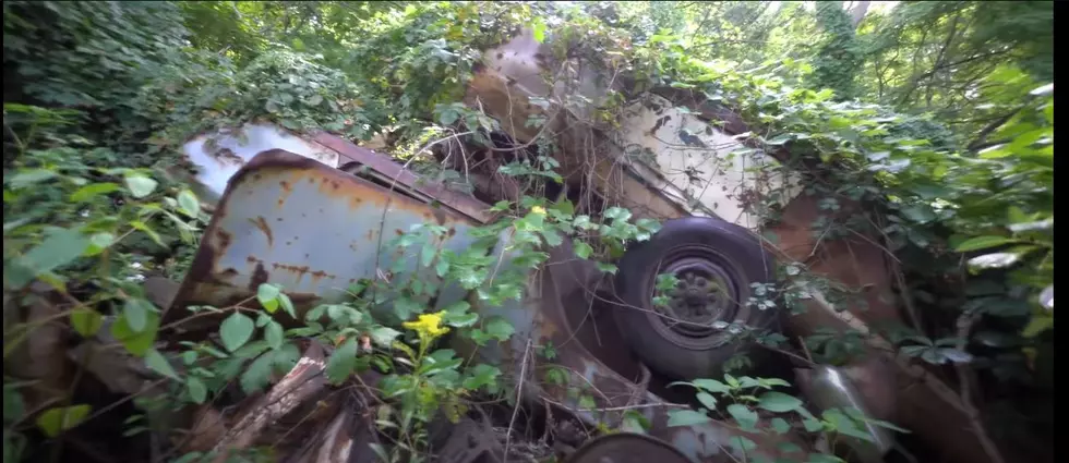 There&#8217;s an Auto Graveyard Below the Bluffs of Lake Michigan You Never Knew Existed