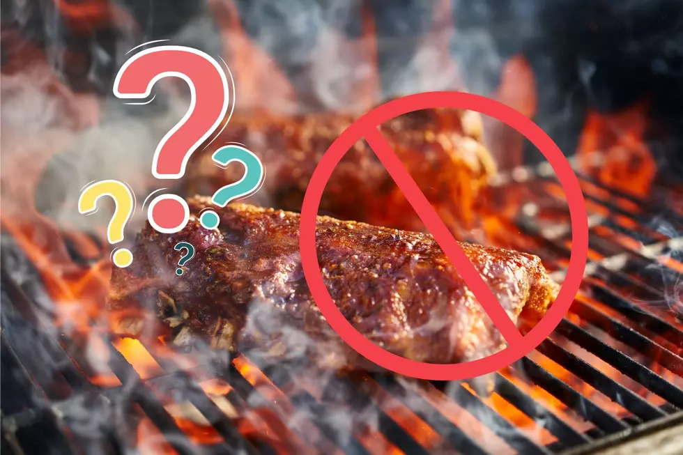 Are Gas and Charcoal Grills On The Way Out in MIchigan?