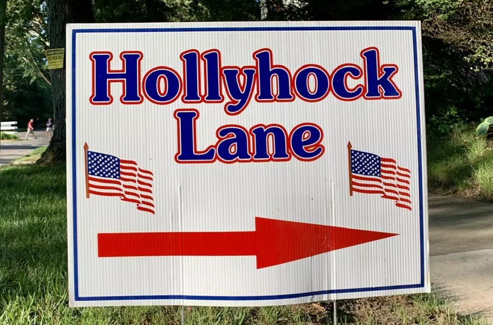 It’s Been Special for 90 Years! The Hollyhock Lane Parade!