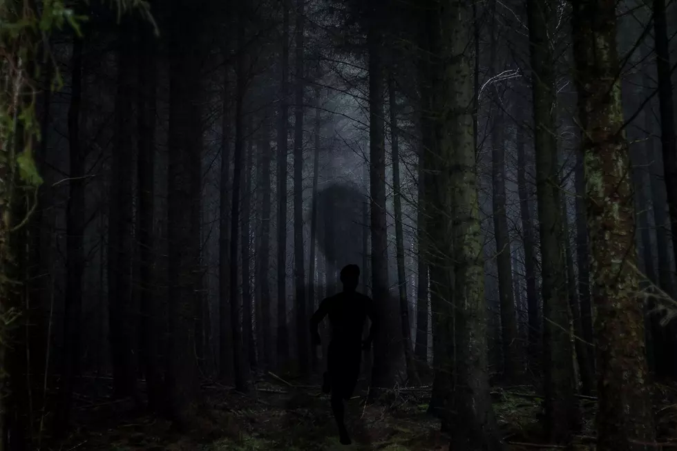 Ghoulish Encounter in Northern Michigan Woods Still Haunts Those Who Saw It