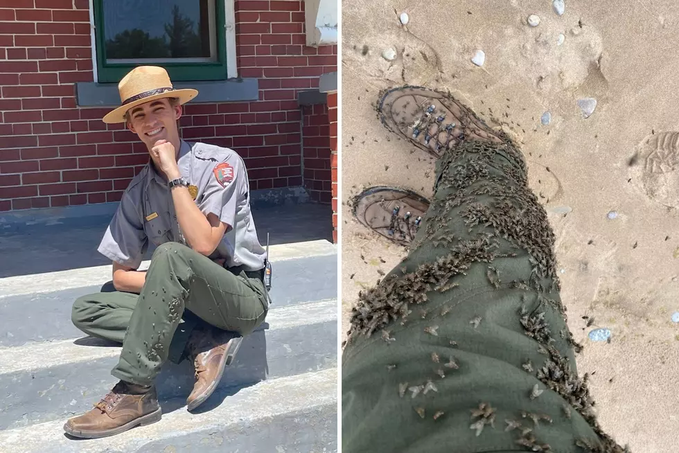 Michigan National Park Rangers Compete in Most Bug-Infested Photo Contest