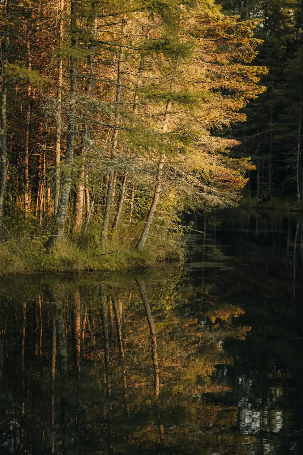 Upper Peninsula nature scene