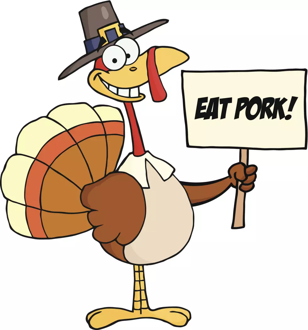 Hey Grand Rapids Surprisingly It’s Time to Name A Turkey!