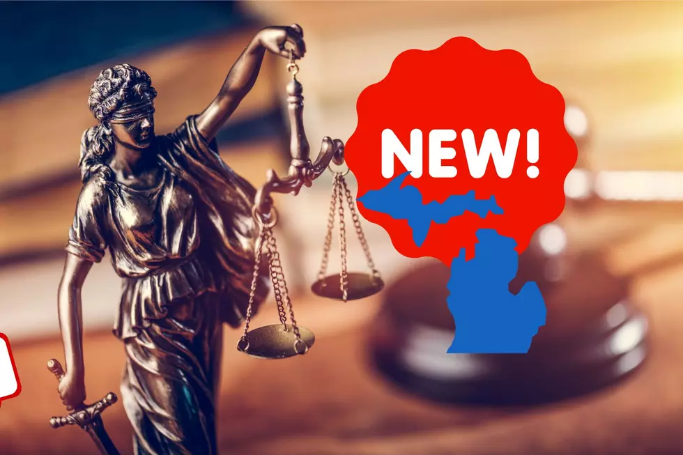 New Michigan Laws Going Into Effect on January 1st