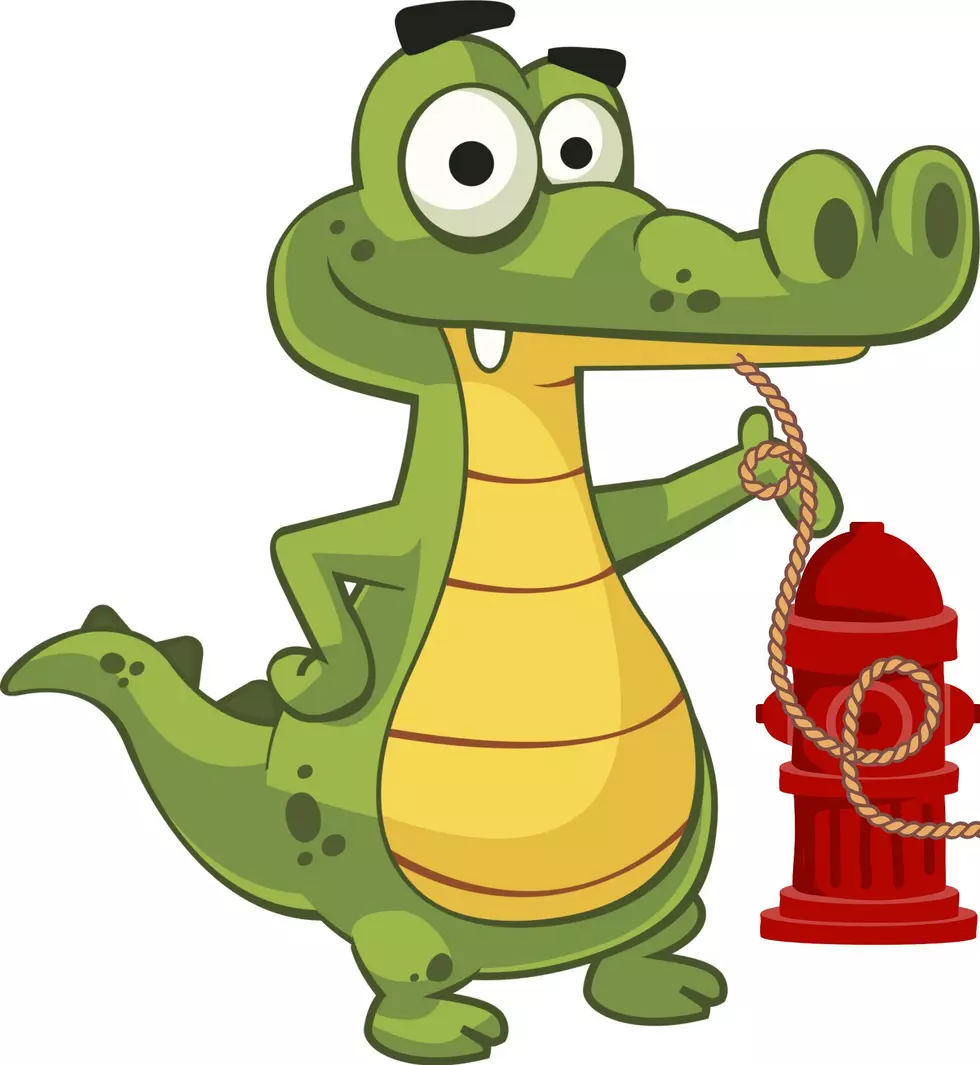 It’s Illegal to tie an alligator to a fire hydrant in Detroit