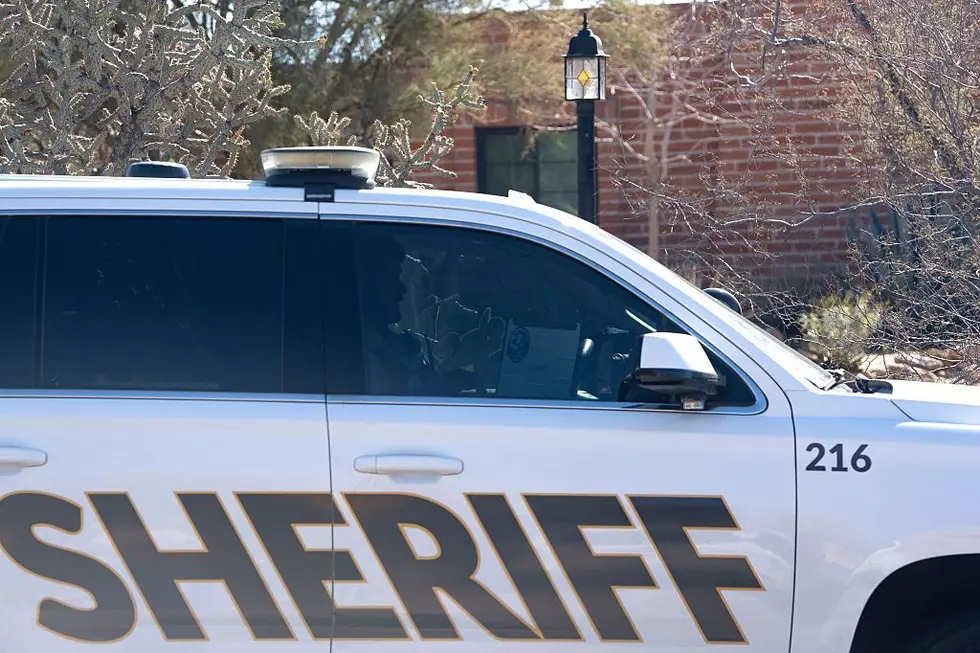 Kent County is Losing Sheriff Michelle LaJoye-Young. What’s Next?
