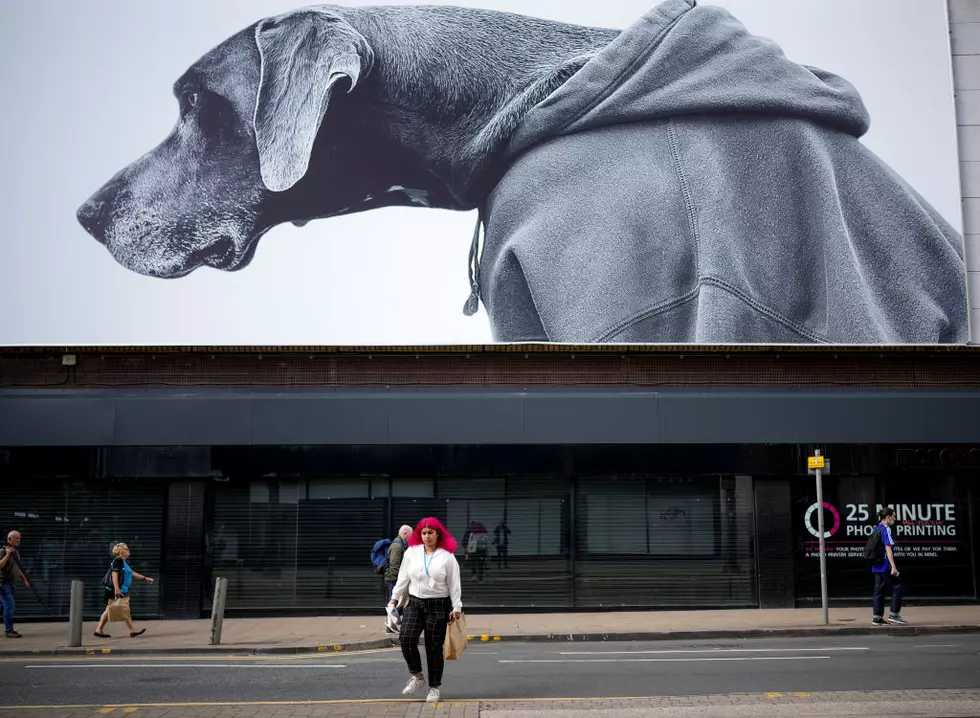 Christopher Furlong/Getty Images/1339488442
