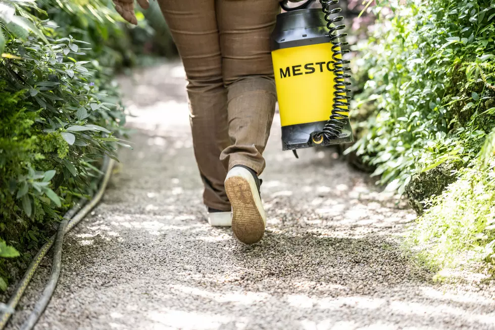 MESTO Sprayers Sprühgeräte on Unsplash