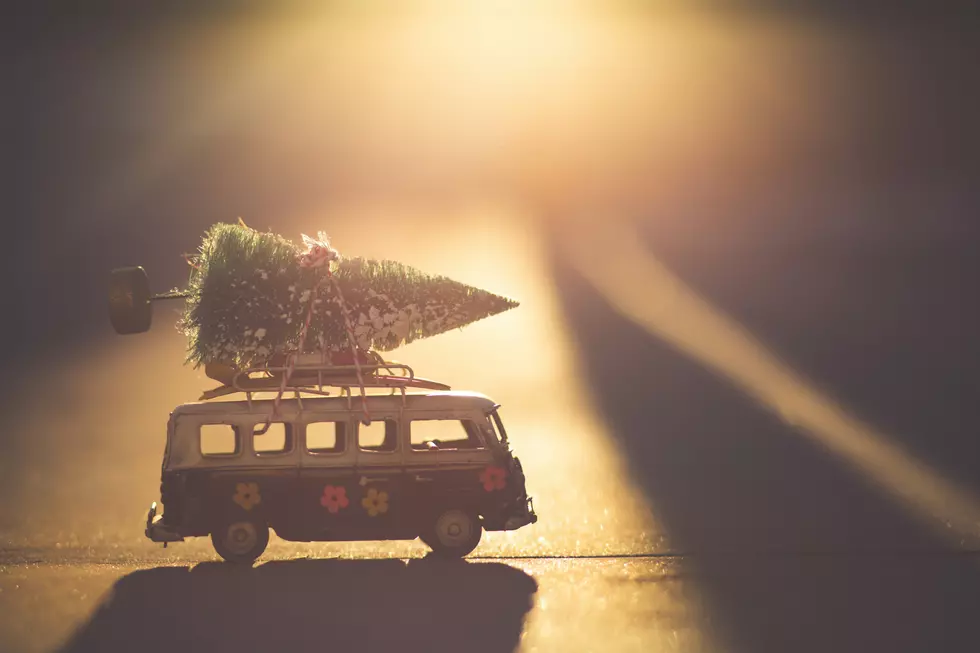 Denise Johnson on Unsplash