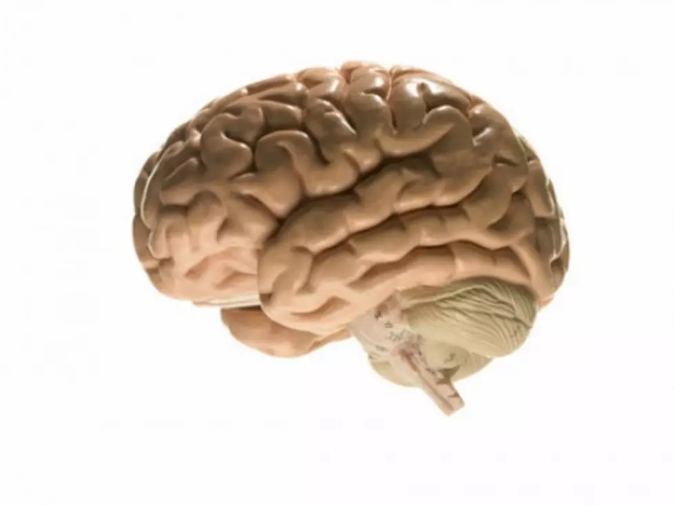 Mark Gungor Explains The Difference Between a Man’s Brain And A Woman’s Brain [Video]