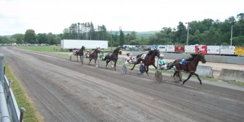 NYS Sire Stakes Harness Racing Today at The Otsego County Fair