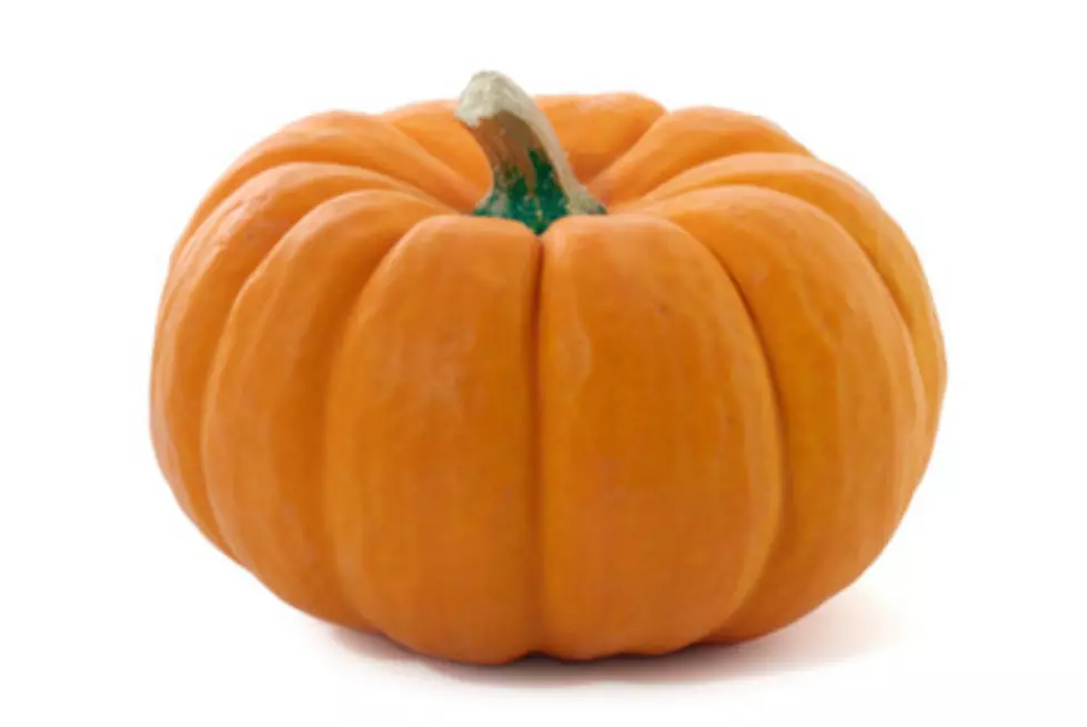 Pumpkins In The Park This Saturday October 18, 2014